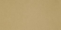 carabu beige 66