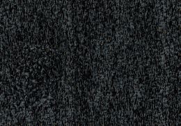 borg 17