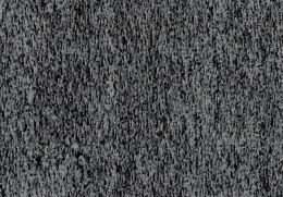 borg 13