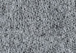 borg 08
