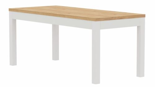 Jídelní stůl S177 OSTOJ typ V. 180×80 cm, český výrobek